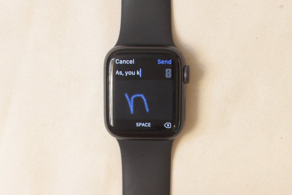 apple watch series 5 scribble