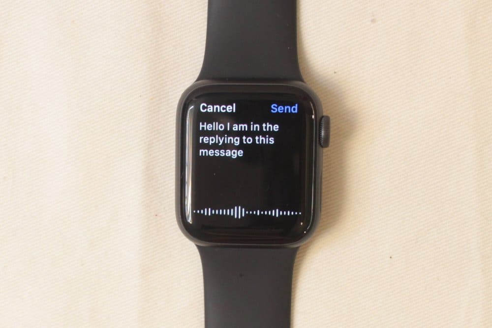 Apple Watch Series 5 voice input