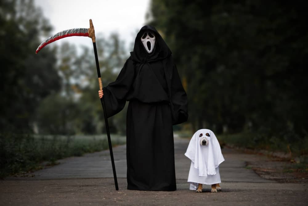 Dog and owner in costumes posing for Halloween.