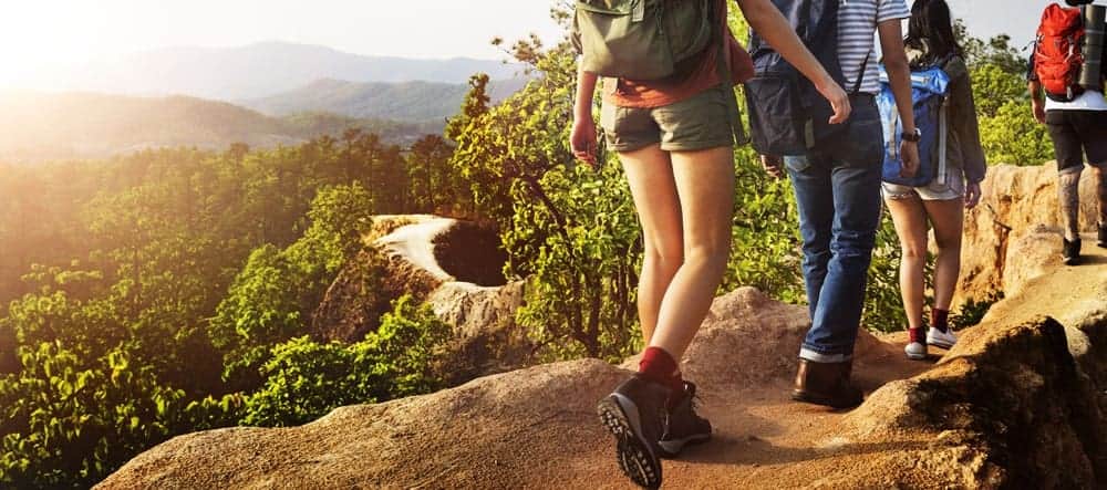 A group of hikers trekking on the mountain.