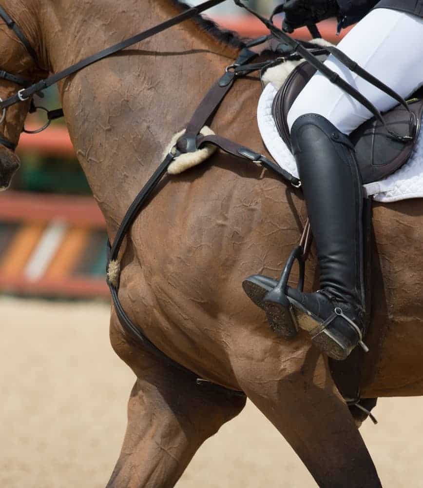 An equestrian riding a horse.