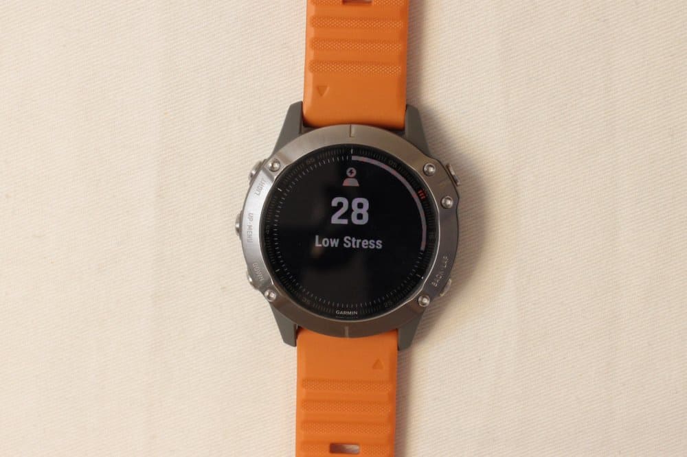 garmin fenix 6 sapphire stress