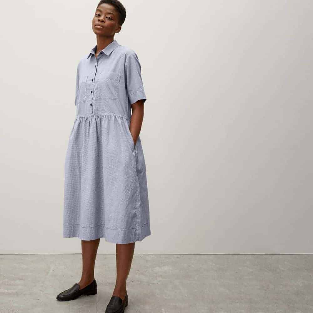 Everlane The Parklet Shirtdress