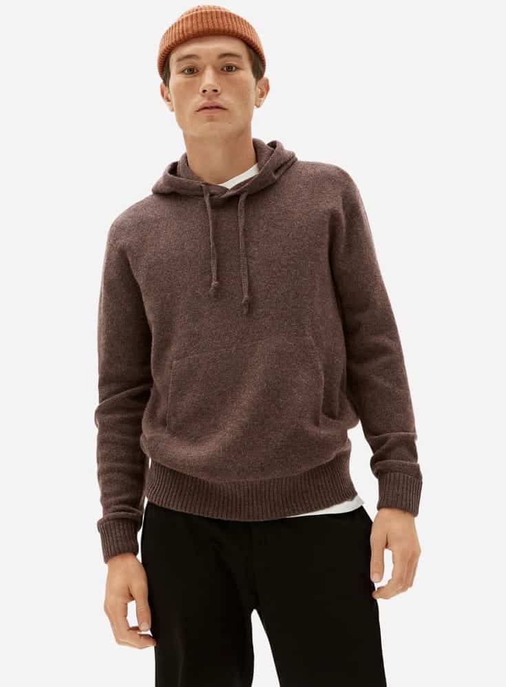 The Everlane Felted Merino Hoodie in treebark.