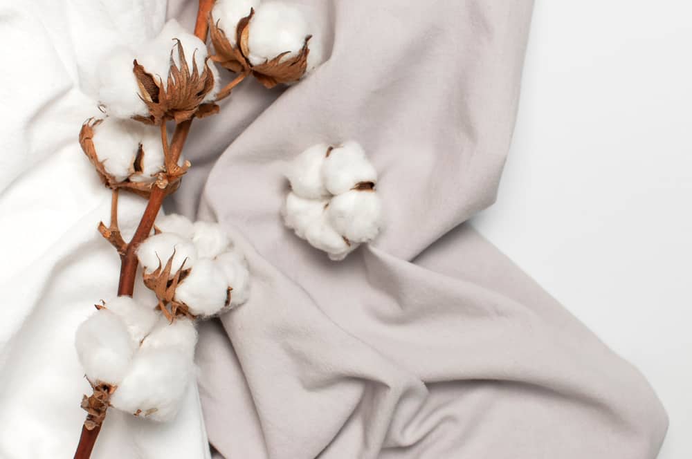 This is a close look at fresh cotton and a cotton fabric.