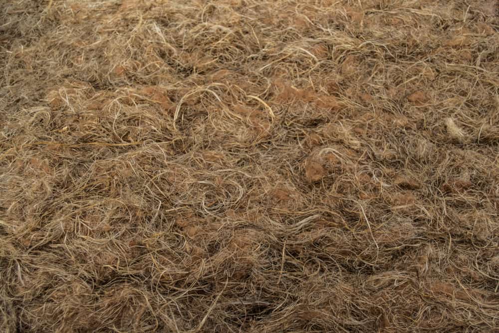 This is a close look at course Bast fibers.