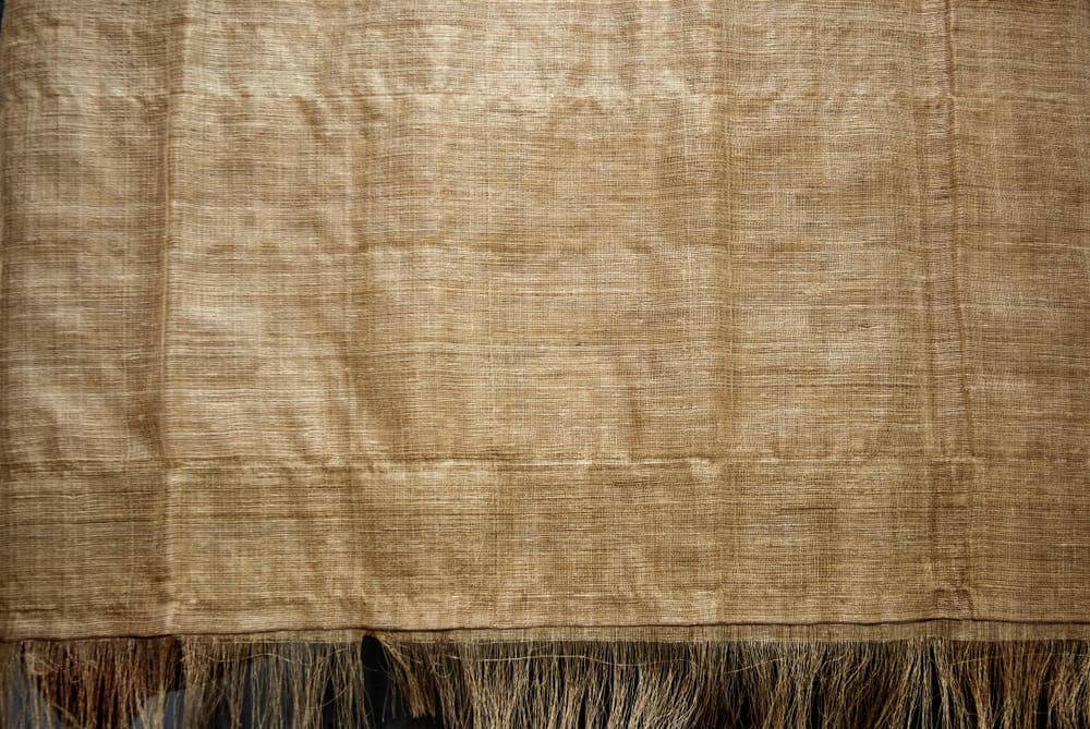 This is a close look at a piece of muga silk.