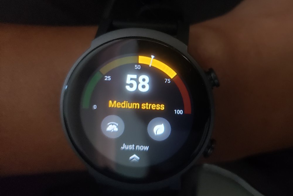 ticwatch e3 stress